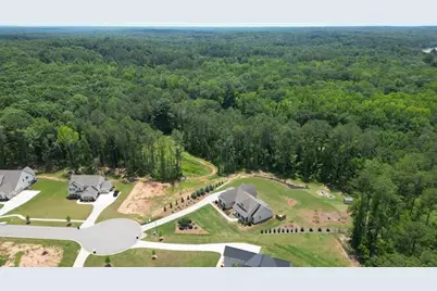164 Brinley Drive, Sharpsburg, GA 30277 - Photo 63