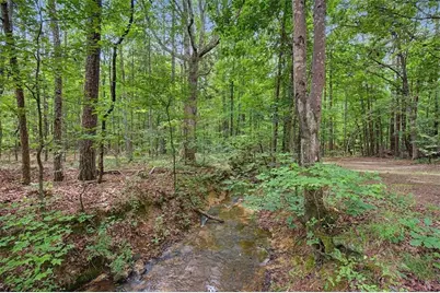 4487 Joe Frank Harris Parkway NW, Adairsville, GA 30103 - Photo 59