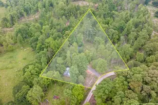 527 Louden Ridge Rd, Alto, GA 30510 - Photo 37