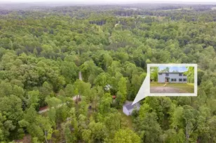 527 Louden Ridge Rd, Alto, GA 30510 - Photo 41