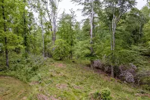 527 Louden Ridge Rd, Alto, GA 30510 - Photo 31