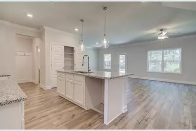 3780 Ivy Cottage Drive, Snellville, GA 30039 - Photo 3