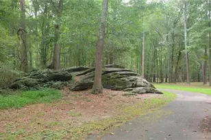 3862 Guilderoy Ln, Austell, GA 30106 - Photo 27