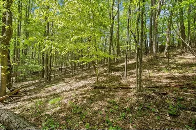16160 Henderson Road, Alpharetta, GA 30004 - Photo 23