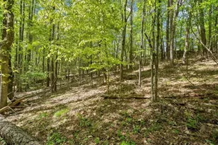16160 Henderson Rd, Alpharetta, GA 30004 - Photo 23