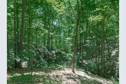 0 Thomas Road, Dallas, GA 30132 - Photo 7