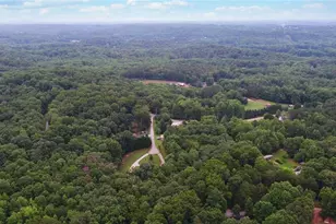 88 Cedar Ridge Rd, Dawsonville, GA 30534 - Photo 65