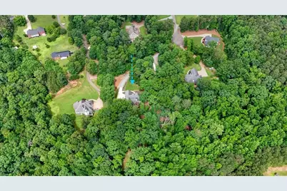 105 Shalea Lane, Ball Ground, GA 30107 - Photo 67