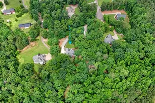 105 Shalea Ln, Ball Ground, GA 30107 - Photo 67