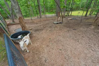 105 Shalea Lane, Ball Ground, GA 30107 - Photo 53