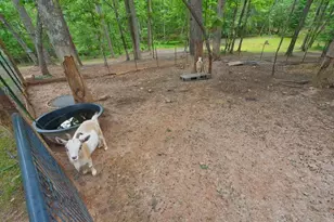 105 Shalea Ln, Ball Ground, GA 30107 - Photo 53