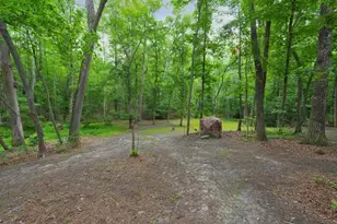 105 Shalea Ln, Ball Ground, GA 30107 - Photo 59