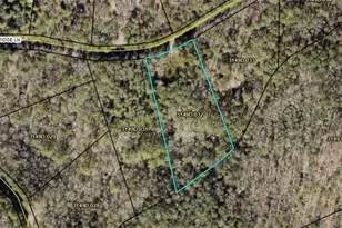 Lot 32 East Ridge Ln, Ellijay, GA 30536 - Photo 7