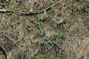 Lot 32 East Ridge Ln, Ellijay, GA 30536 - Photo 5