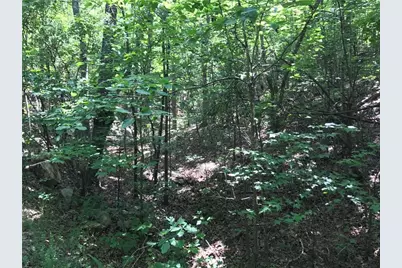 587 E Valley Road NE, Rydal, GA 30171 - Photo 13