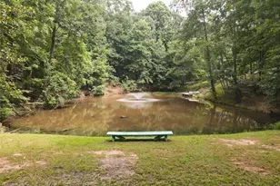 7480 Shadburn Ferry Rd, Cumming, GA 30041 - Photo 11