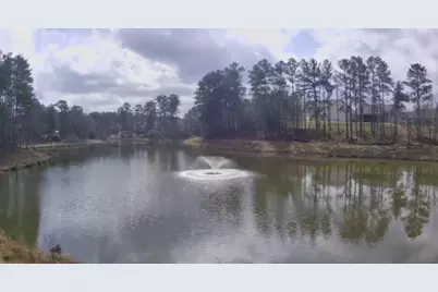 198 Huntleigh Shores Lane, Dallas, GA 30132 - Photo 47