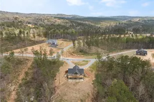 2956 Blalock Mountain Rd, Talking Rock, GA 30175 - Photo 49