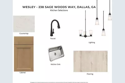 238 Sage Woods Way, Dallas, GA 30132 - Photo 3