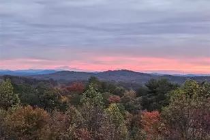 259 Red Bush School Rd, Blue Ridge, GA 30513 - Photo 5