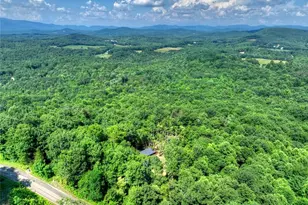 156 Sky High Dr, Ellijay, GA 30536 - Photo 45