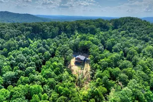 156 Sky High Dr, Ellijay, GA 30536 - Photo 47