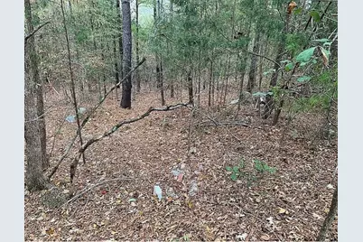 4103 Sierra Court SW, Stockbridge, GA 30281 - Photo 7