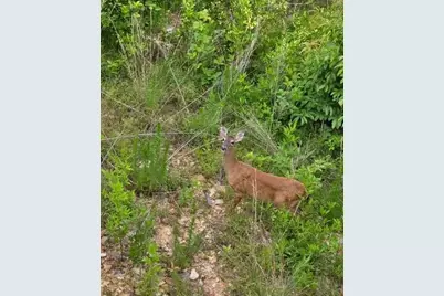 [Address not provided], Mineral Bluff, GA 30559 - Photo 13