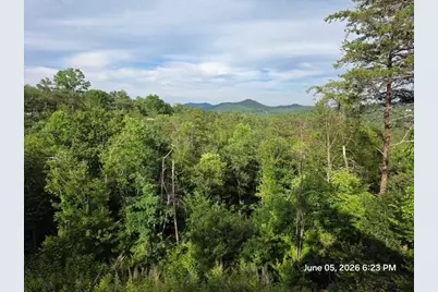 95 Ridgeline Lane, Mineral Bluff, GA 30559 - Photo 11