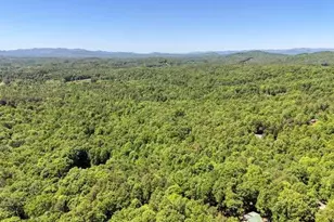 315 Darby Ln, Blairsville, GA 30512 - Photo 39
