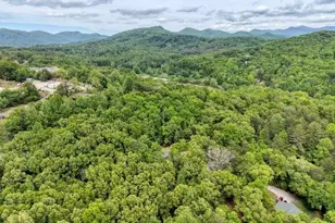 18 Canine Trl, Blairsville, GA 30512 - Photo 27