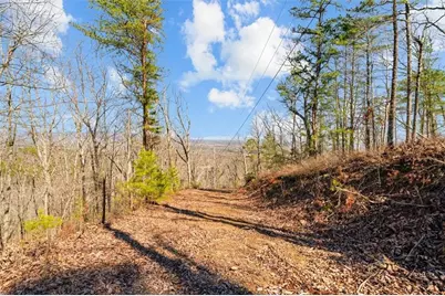 571 Deerfield Lane, Sugar Valley, GA 30746 - Photo 21