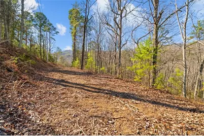 571 Deerfield Lane, Sugar Valley, GA 30746 - Photo 3