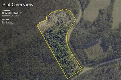 0 White Owl Drive, Elberton, GA 30635 - Photo 1