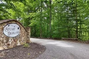 901 Stuart Mountain Rd, Mineral Bluff, GA 30559 - Photo 41