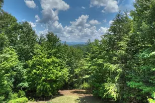 762 Pettit Ridge Rd, Ellijay, GA 30536 - Photo 89