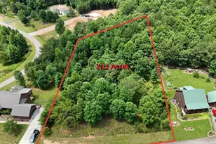 0 Village Loop, Blairsville, GA 30512 - Photo 1