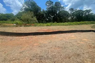 8845 McKaskey Ln, Ball Ground, GA 30107 - Photo 3