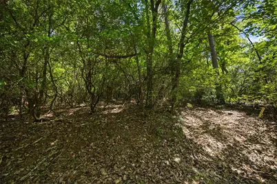 196 Cinnamon Fern Lane, Big Canoe, GA 30143 - Photo 3