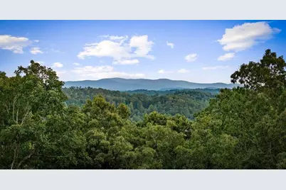 241 Wolf Creek Mountain Road, Mineral Bluff, GA 30559 - Photo 7