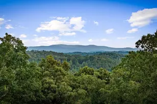241 Wolf Creek Mountain Rd, Mineral Bluff, GA 30559 - Photo 7