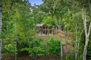 241 Wolf Creek Mountain Rd, Mineral Bluff, GA 30559 - Photo 9