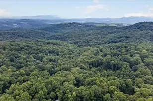648 Stuart Mountain Rd, Mineral Bluff, GA 30559 - Photo 61