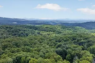 648 Stuart Mountain Rd, Mineral Bluff, GA 30559 - Photo 67