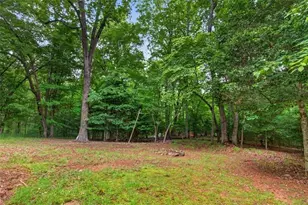 648 Stuart Mountain Rd, Mineral Bluff, GA 30559 - Photo 53