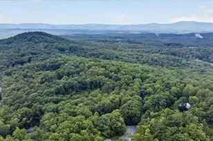 648 Stuart Mountain Rd, Mineral Bluff, GA 30559 - Photo 63