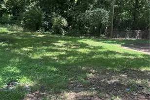 45 Wilson St, Griffin, GA 30223 - Photo 13