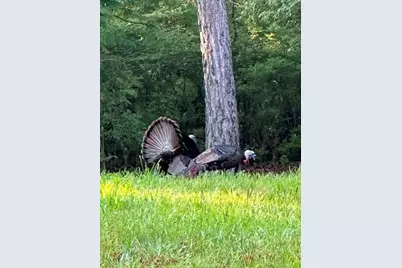 35 Prayer Trail, Aragon, GA 30104 - Photo 57