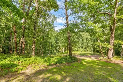 173 Hogan Pond Lane, Ball Ground, GA 30107 - Photo 7