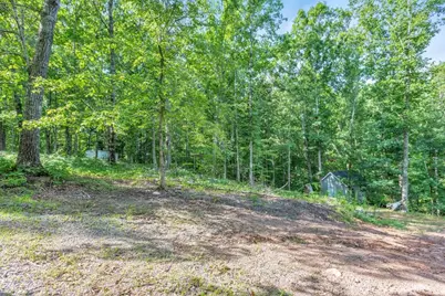 173 Hogan Pond Lane, Ball Ground, GA 30107 - Photo 9